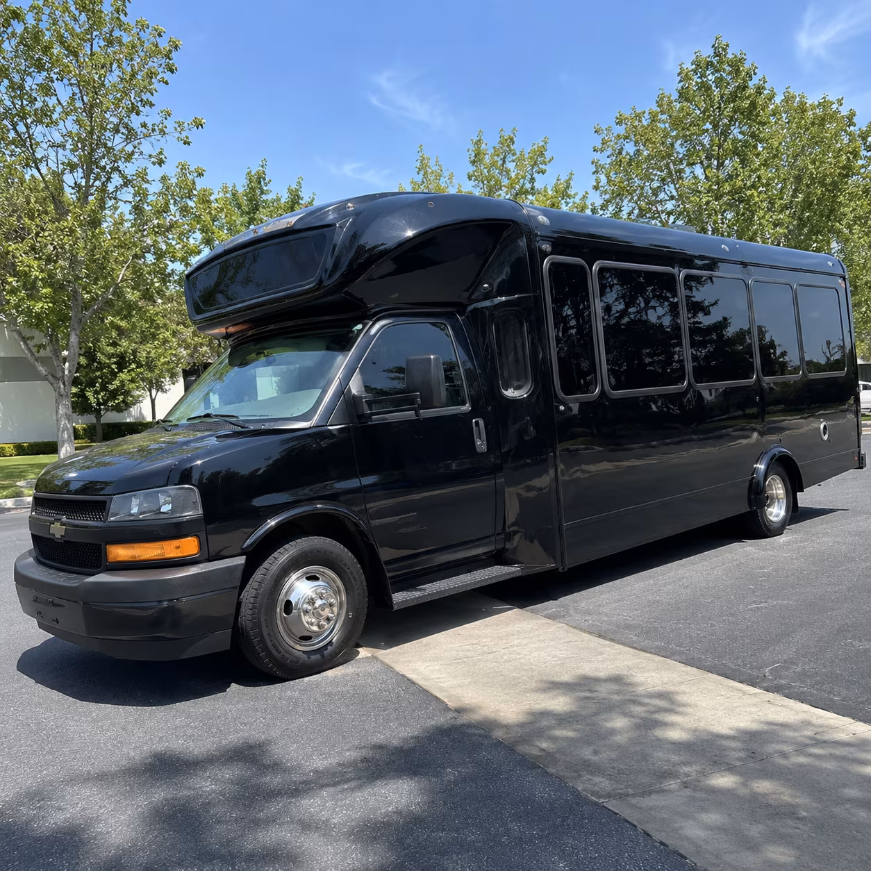grapevine 15 passenger party bus