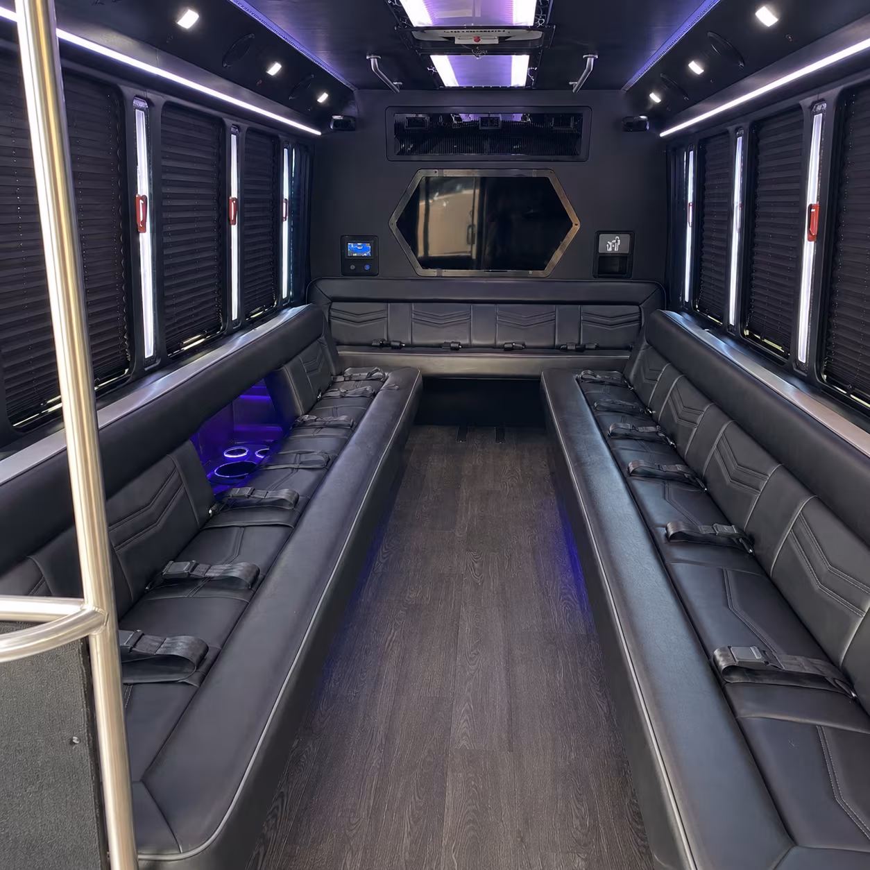 grapevine 18 passenger party bus interior