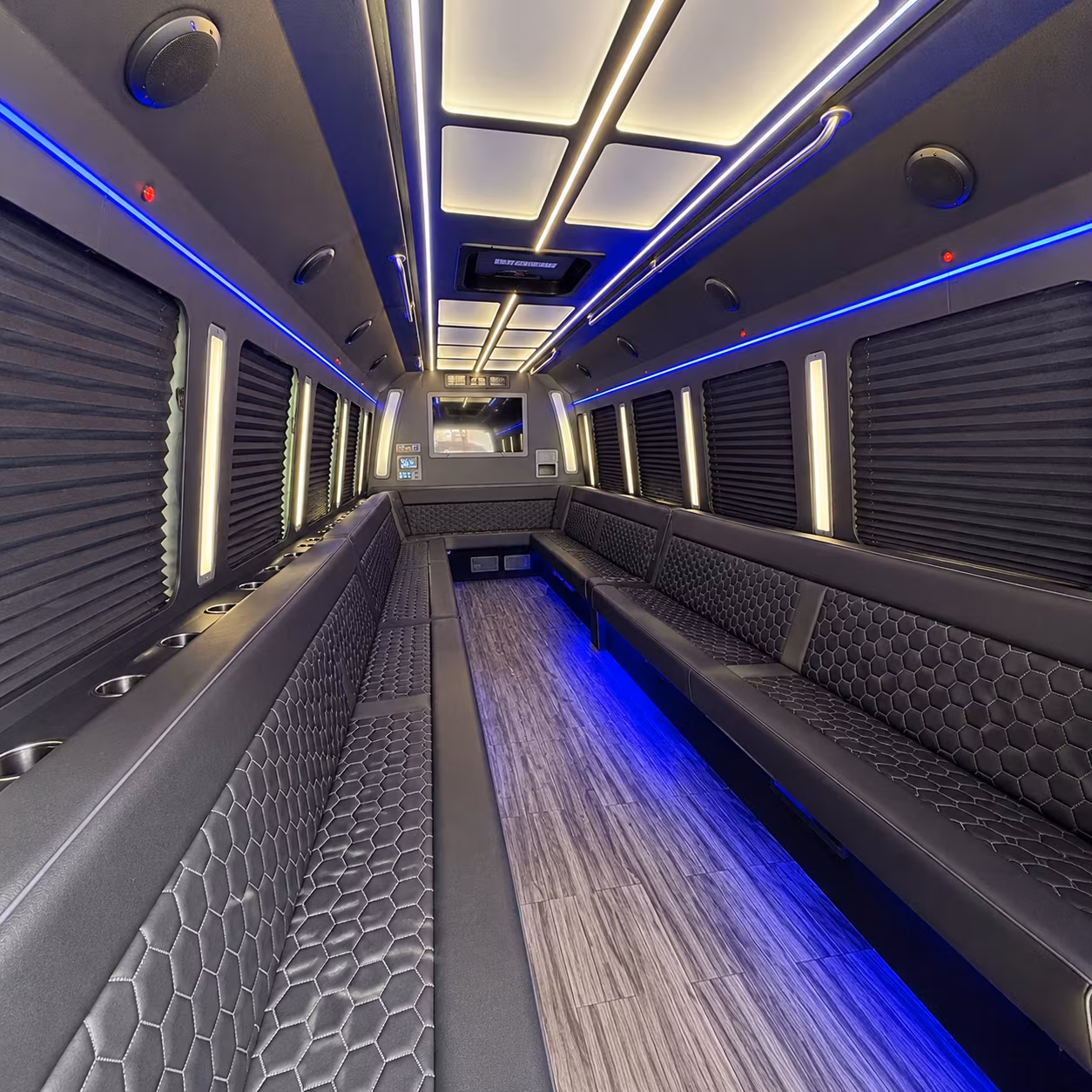 grapevine 30 passenger party bus interior